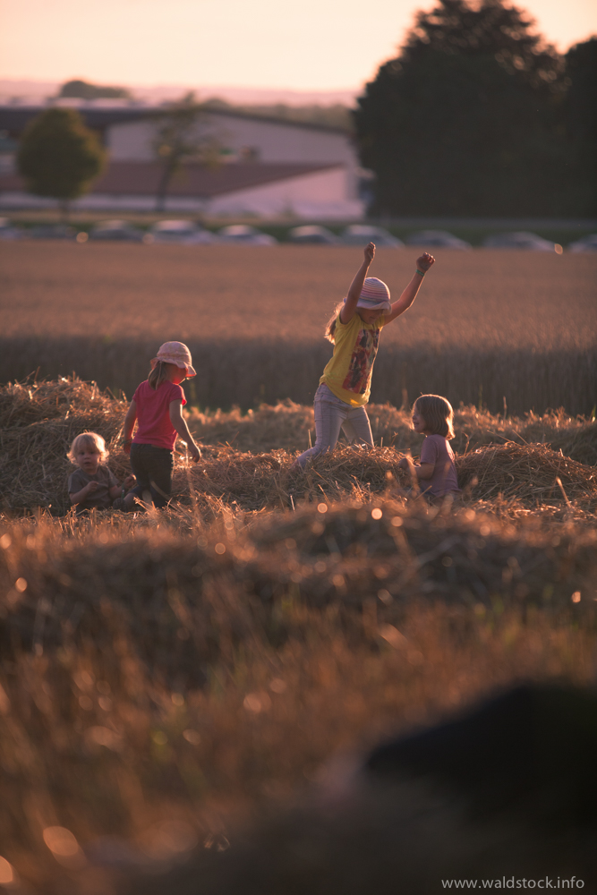 Kinder spielen im Feld